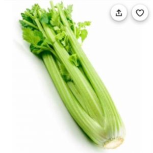 Celery