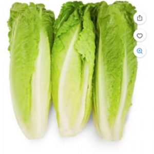 Lettuce-Romaine