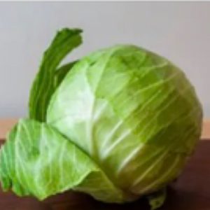 Cabbage