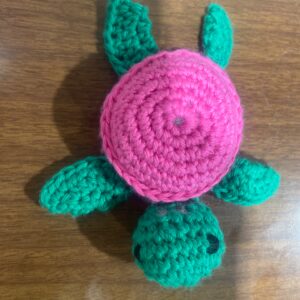 Turtle
